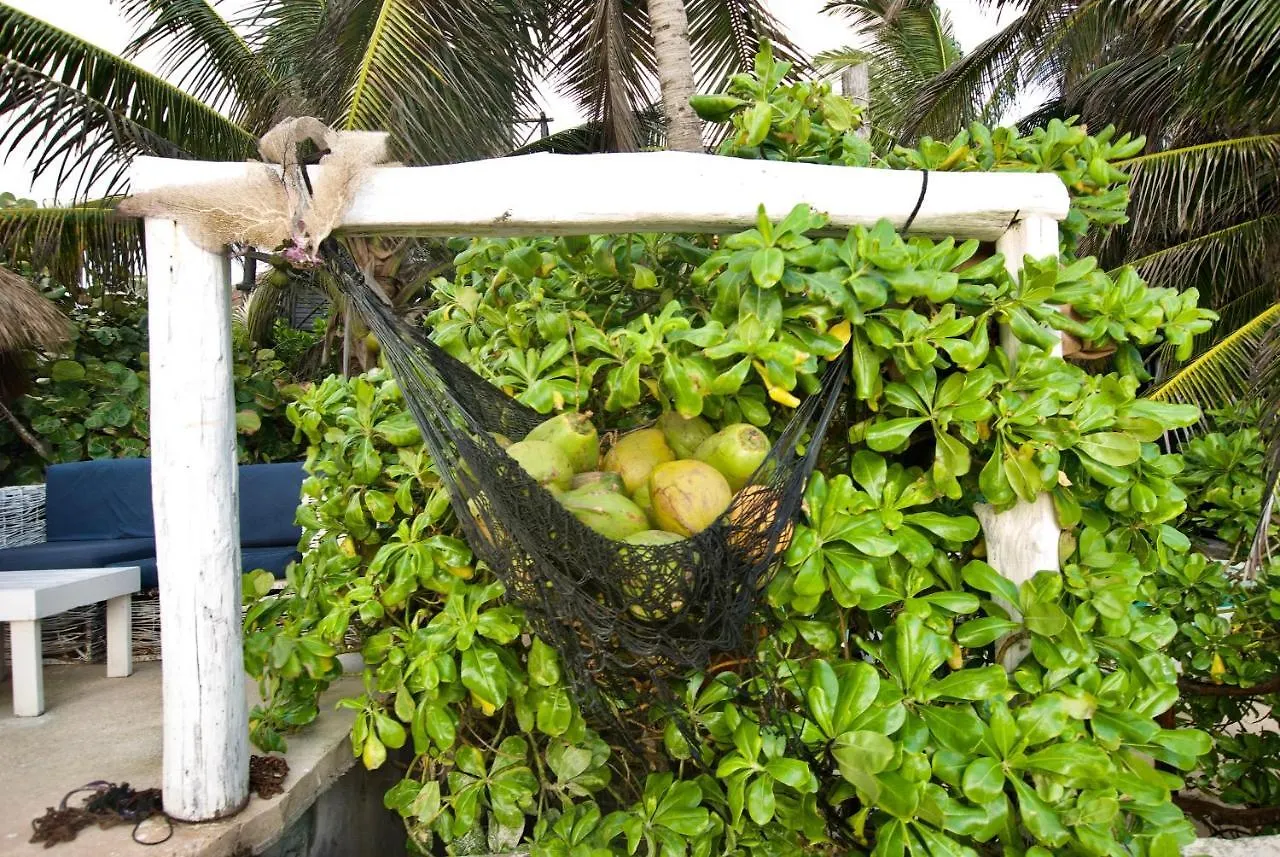 Hotel Zulum Tulum